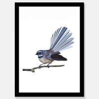 Fantail Art Print Your Decal Shop Wall Decal NZ