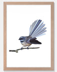 Fantail Art Print Your Decal Shop Wall Decal NZ