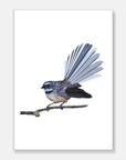 Fantail Art Print Your Decal Shop Wall Decal NZ