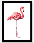 Flamingo Art Print Your Decal Shop Wall Decal NZ