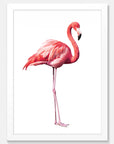 Flamingo Art Print Your Decal Shop Wall Decal NZ