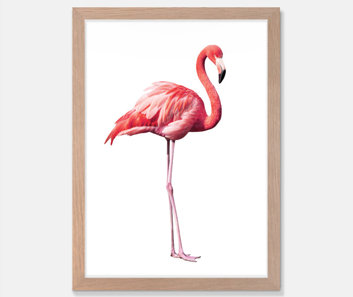 Flamingo Art Print Your Decal Shop Wall Decal NZ