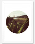 Flax View Art Print Your Decal Shop Wall Decal NZ
