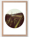 Flax View Art Print Your Decal Shop Wall Decal NZ
