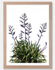 Flax Art Print Your Decal Shop Wall Decal NZ