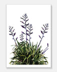 Flax Art Print Your Decal Shop Wall Decal NZ