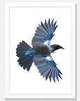 Flying Tui Art Print Your Decal Shop Wall Decal NZ