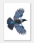 Flying Tui Art Print Your Decal Shop Wall Decal NZ