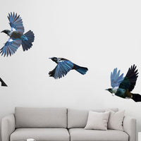 Tui in flight Wall Decal Your Decal Shop Wall Decal NZ