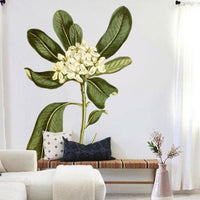 Glossy Leaved Pittosporum Wall Decal