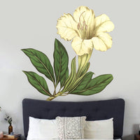 Great Flowered Solandra Wall Decal