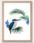 Artistic Series Kingfisher in Native Sun Orchids Art Print