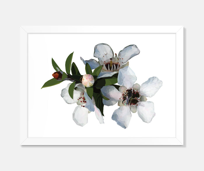 Manuka Flower Art Print Your Decal Shop Wall Decal NZ
