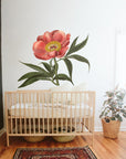 Paeonia officinalis Wall Decal Your Decal Shop Wall Decal NZ