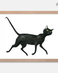 Slinky Malinki Art Print
