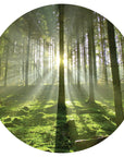Spring Trees Mural Dot Your Decal Shop Wall Decal NZ