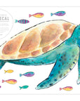 WALTER THE TURTLE Wall Decal Your Decal Shop Wall Decal NZ