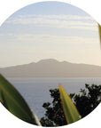 Window to Rangitoto Mural Dot Your Decal Shop Wall Decal NZ