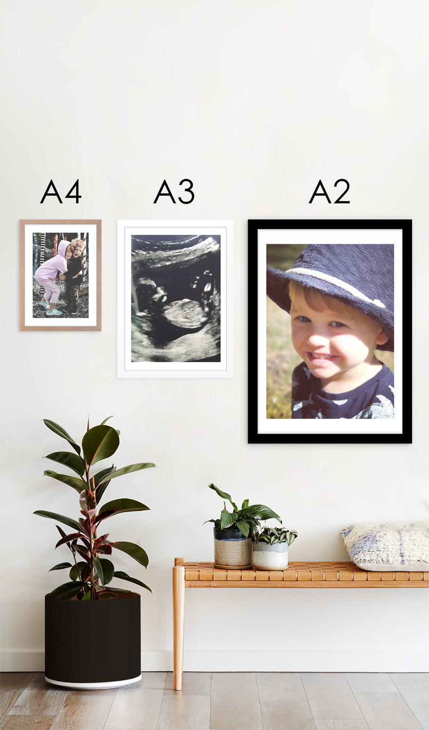 Custom Art Print Your Decal Shop Wall Decal NZ