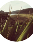 Flax View Mural Dot Your Decal Shop Wall Decal NZ