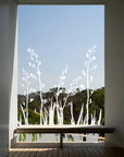 Window Strike Flax Bush