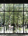 Window Strike Flax Bush