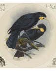 Vintage Huia Mural Dot Your Decal Shop Wall Decal NZ