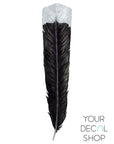 Huia Feather Wall Decal