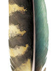 Kea Feather Wall Decal