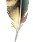 Kea Feather Wall Decal