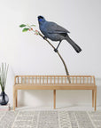 Kokako Wall Decal Your Decal Shop Wall Decal NZ