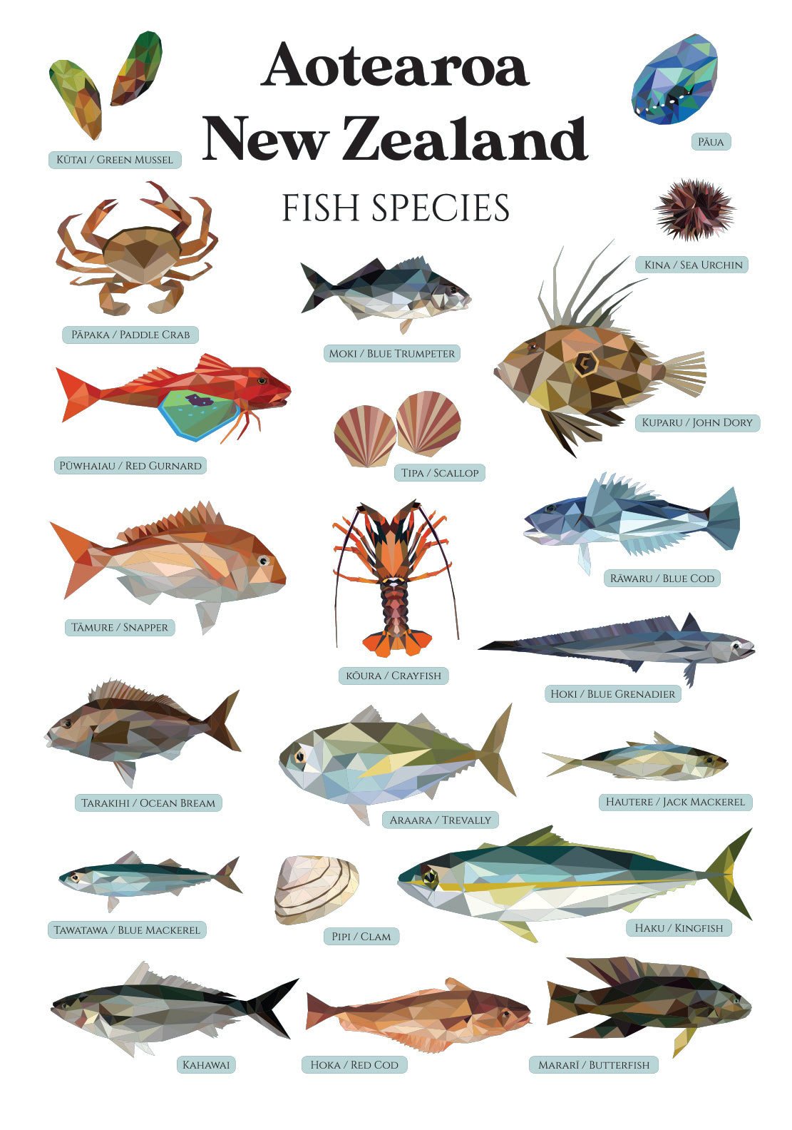 Aotearoa New Zealand Fish Species Wall Decal