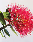 Pohutukawa Flower Wall Decal Your Decal Shop Wall Decal NZ