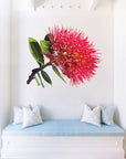 Pohutukawa Flower Wall Decal Your Decal Shop Wall Decal NZ