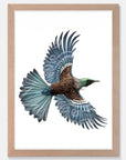 Tui Kaha Art Print