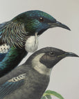 Tui Rua Wall Decal