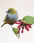 Geometric Waxeye Wall Decal Your Decal Shop Wall Decal NZ