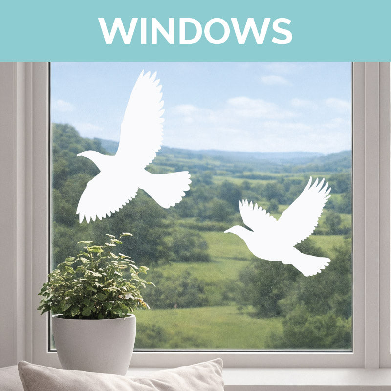 Window Decals NZ | Frosted & Bird Strike Window Stickers