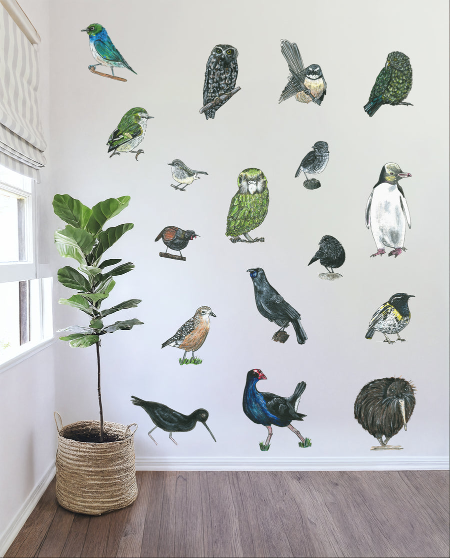 Native Bird Set