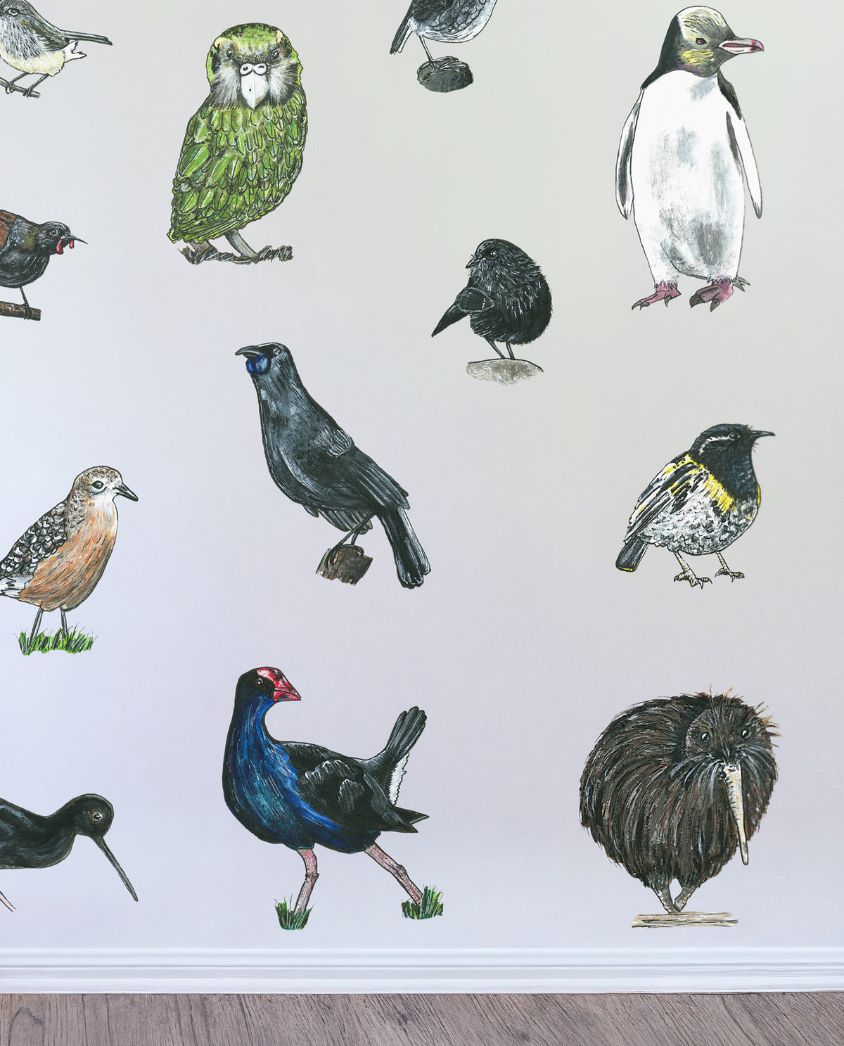 Native Bird Set