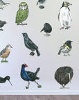 Native Bird Set