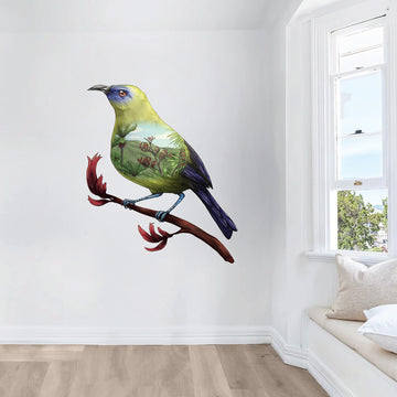 Bellbird Birds Eye View