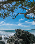 Pohutukawa Beach Mural