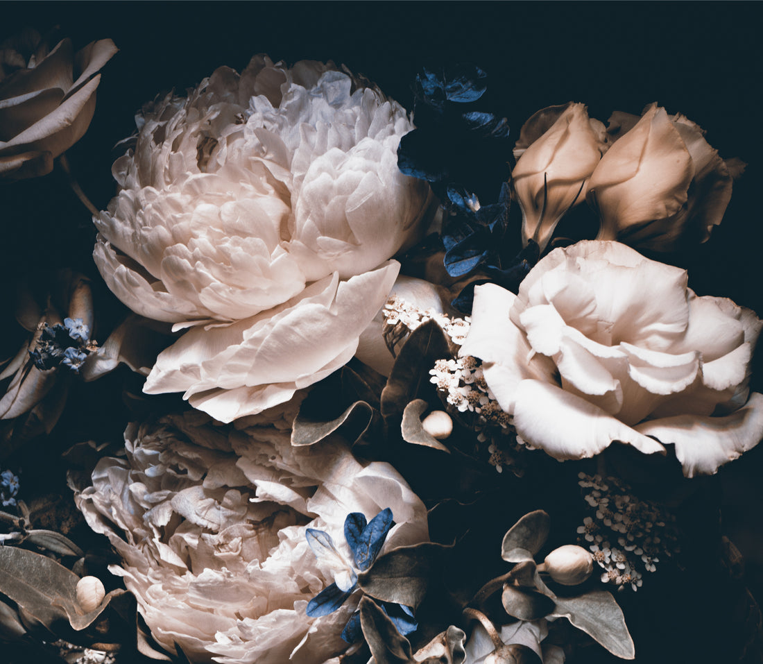 Bouquet of Pink Peonies