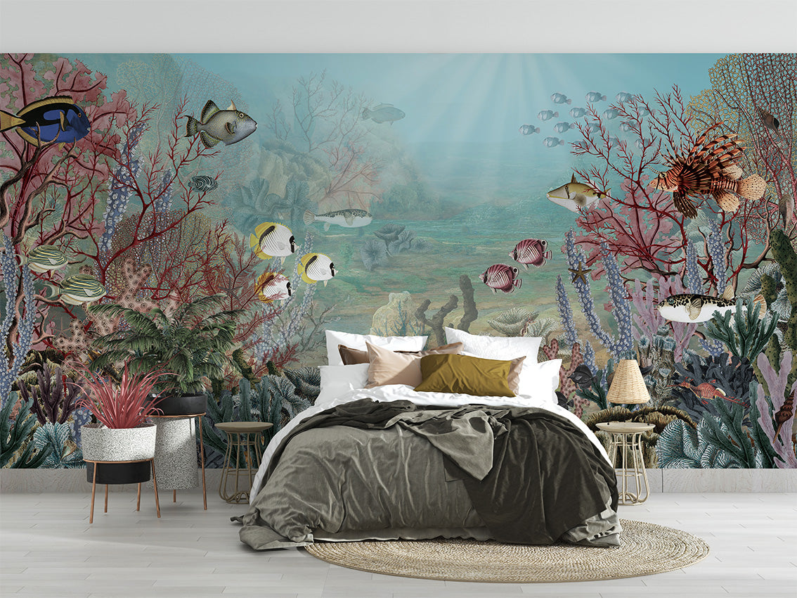Coral Creatures
