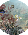Coral Creatures Dot
