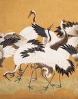 Crane Birds
