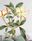 Crimson Tipped Gardenia Wall Decal