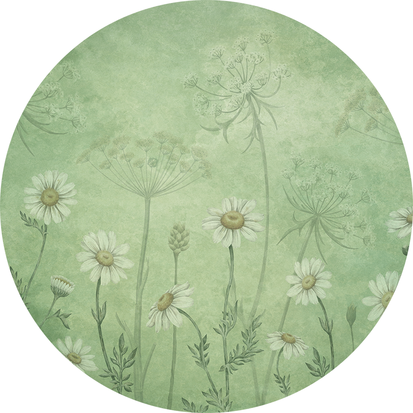 Dazzling Daisies - Green Dot