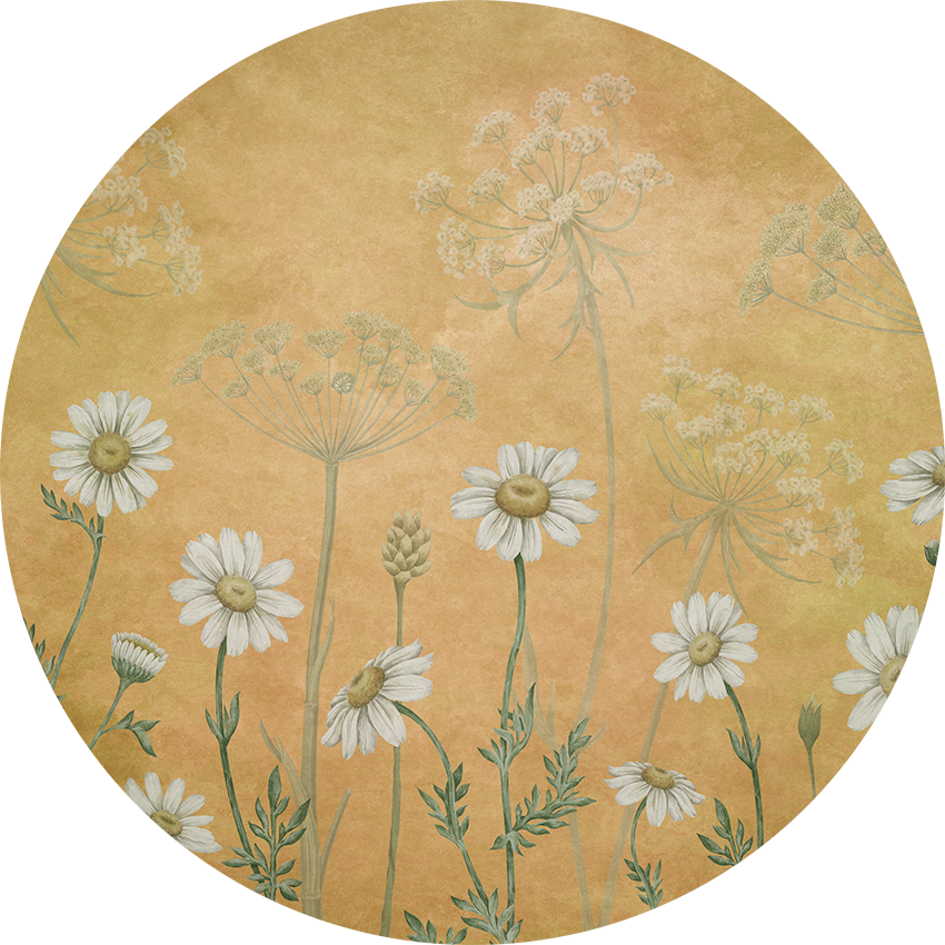 Dazzling Daisies - Yellow Dot